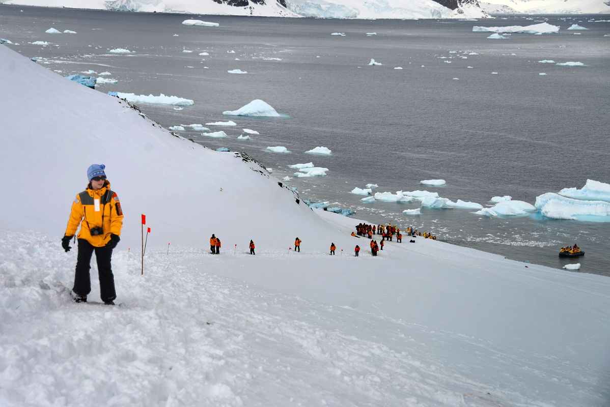 10A Tourists Climbing To The Top Of Danco Island On Quark Expeditions Antarctica Cruise